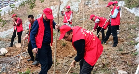 村企共建，共植先锋林