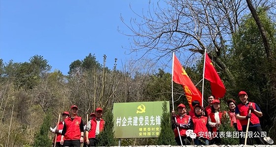 党建强引领，共植先锋林